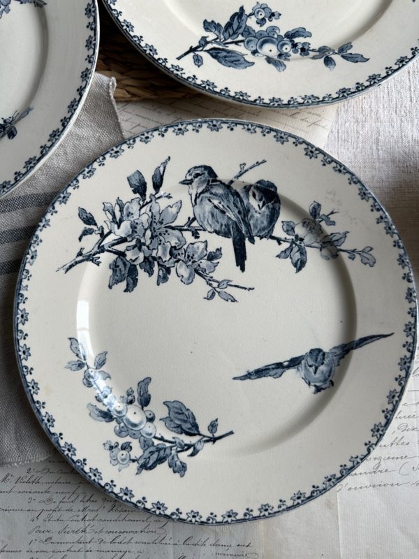 Suite de 6 assiettes plates Sarreguemines Favori – Image 7