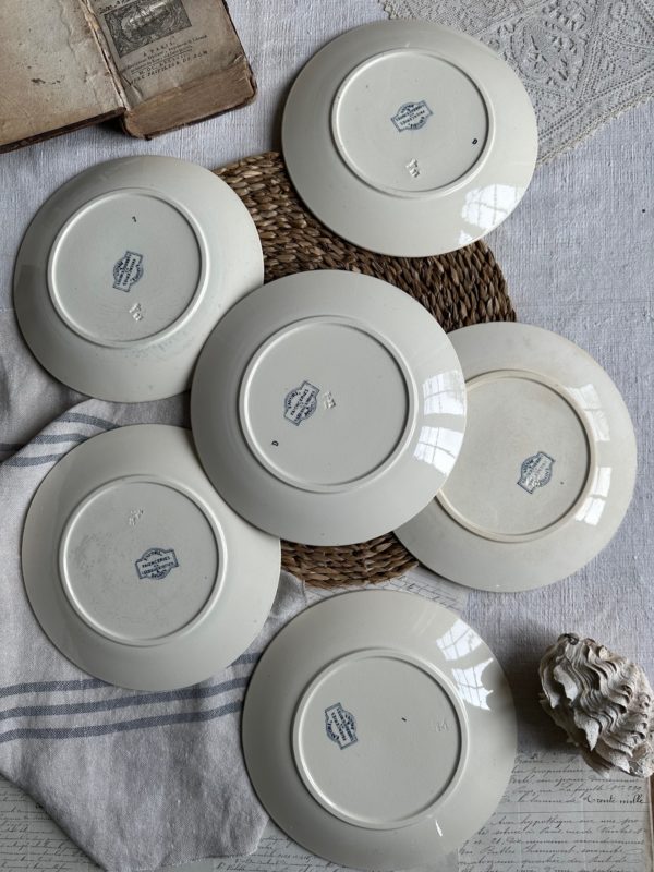 Suite de 6 assiettes plates Sarreguemines Favori – Image 9