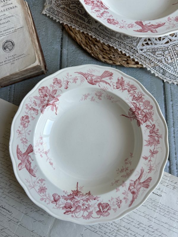 Grande assiette creuse 26,60cm ou petit plat creux  - manufacture BWM & co Brown Westhead Moore modèle Indiana – 1868