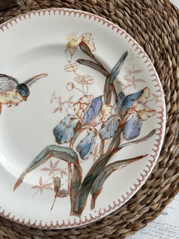 Assiette plate terre de fer polychrome Longwy, oiseau et iris – Image 3