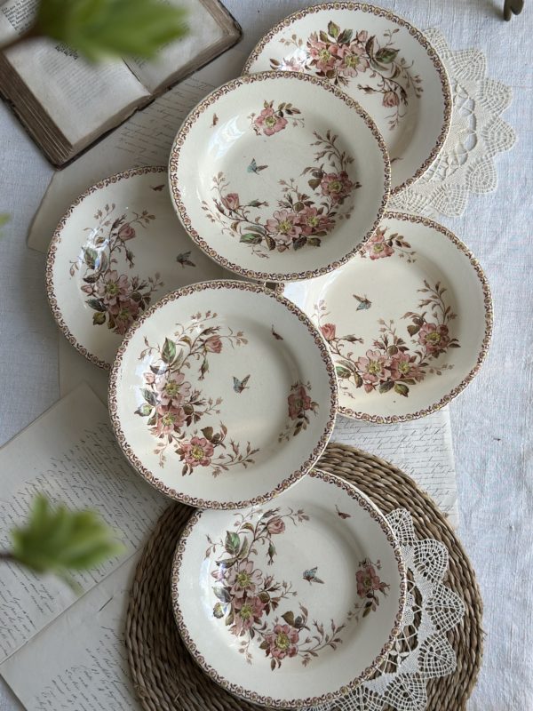 Suite de 6 assiettes creuses polychrome Gien modèle Mai