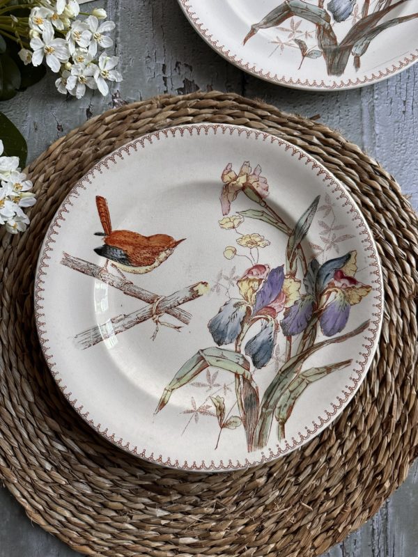 I. Assiette plate terre de fer polychrome Longwy, oiseau et iris