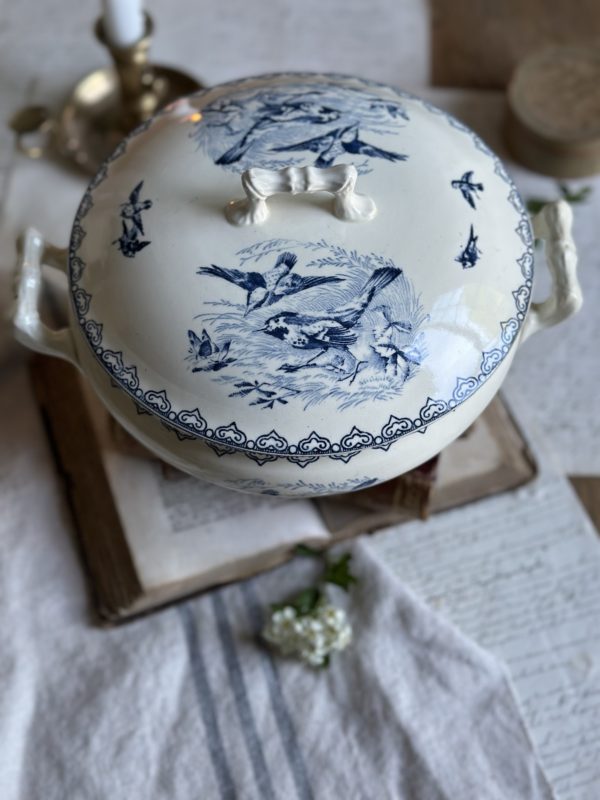 Légumier terre de fer oiseaux – Image 2