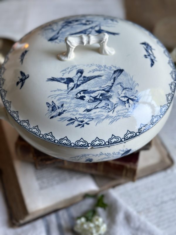 Légumier terre de fer oiseaux – Image 4