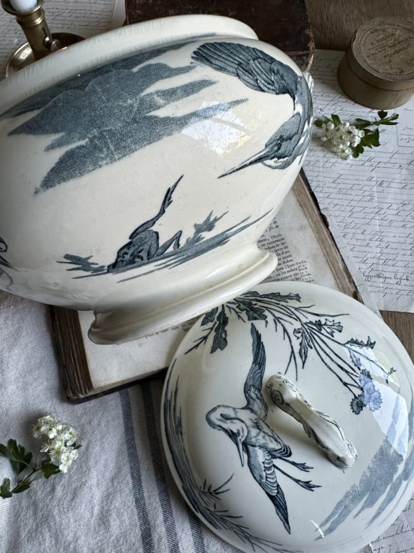 Petite soupière Lunéville aux oiseaux - XIXème – Image 8