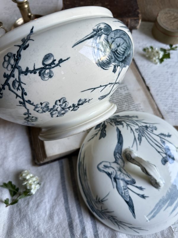 Petite soupière Lunéville aux oiseaux - XIXème – Image 9