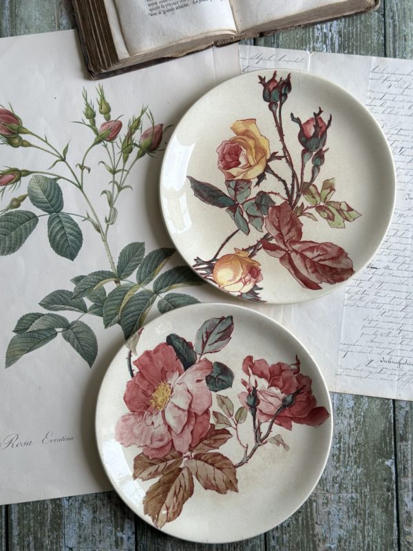 Deux assiettes à dessert polychromes Jules Vieillard Bordeaux, roses