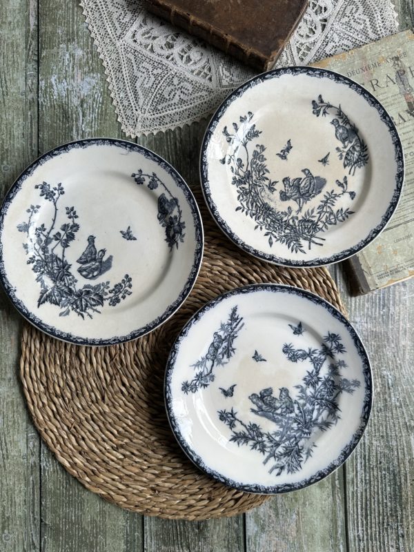 Suite de 3 petites assiettes plates terre de fer Nimy, modèle Poussins
