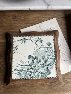 dessous de table avec les oiseaux