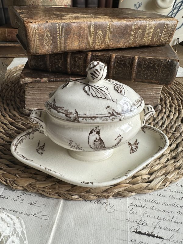 Petit moutardier terre de fer Choisy le Roi oiseaux – Image 3