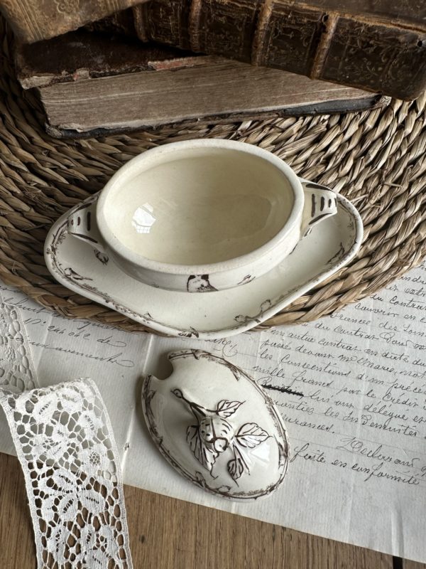 Petit moutardier terre de fer Choisy le Roi oiseaux – Image 4