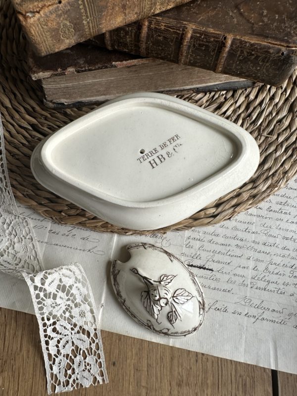Petit moutardier terre de fer Choisy le Roi oiseaux – Image 5