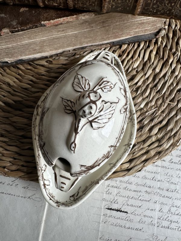 Petit moutardier terre de fer Choisy le Roi oiseaux – Image 8