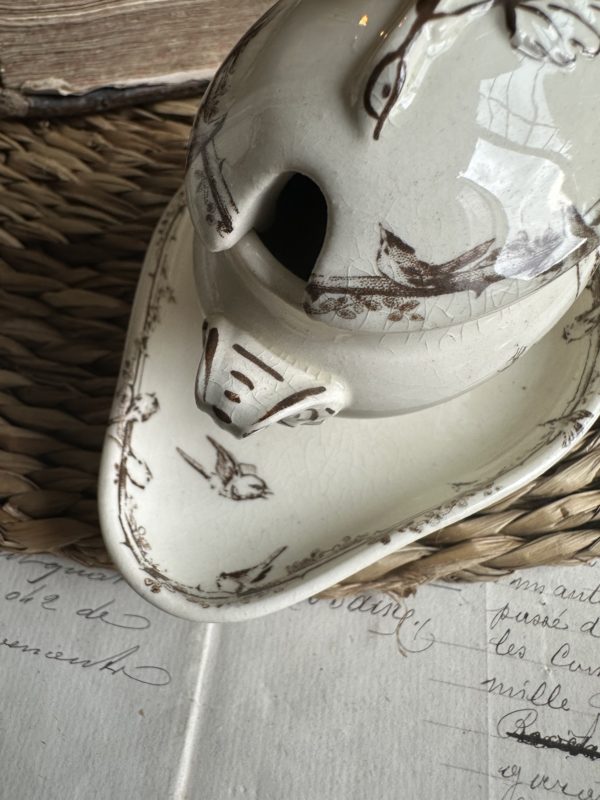 Petit moutardier terre de fer Choisy le Roi oiseaux – Image 9