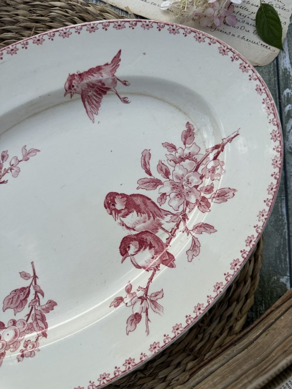 Plat ovale Sarreguemines Favori – Image 3