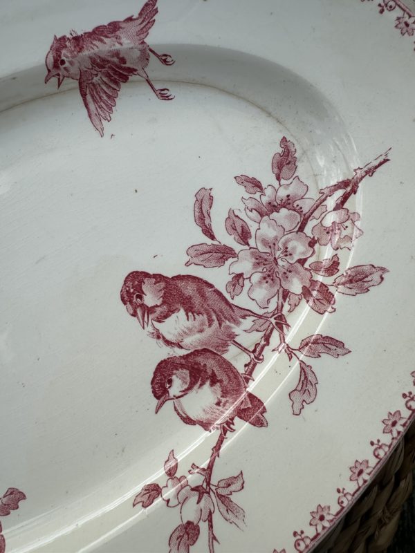 Plat ovale Sarreguemines Favori – Image 4