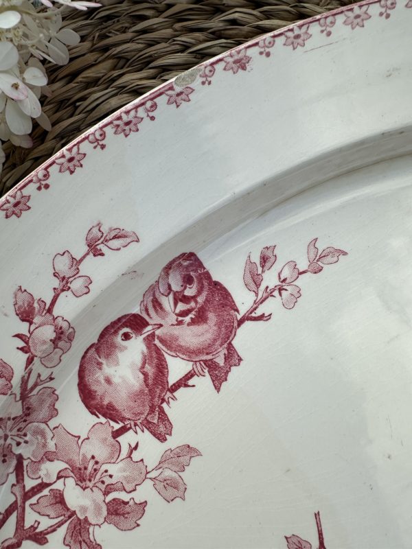 Plat ovale Sarreguemines Favori – Image 5
