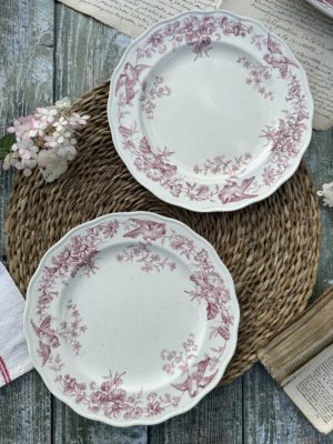 Deux assiettes plates 23,10cm – manufacture BWM & co Brown Westhead Moore modèle Indiana – 1868