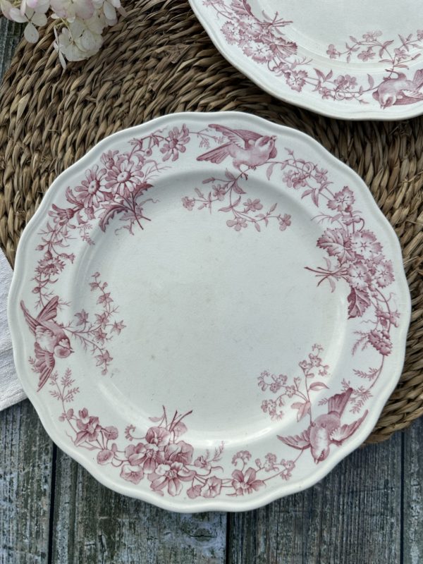 Deux assiettes plates 23,10cm – manufacture BWM & co Brown Westhead Moore modèle Indiana – 1868 – Image 2