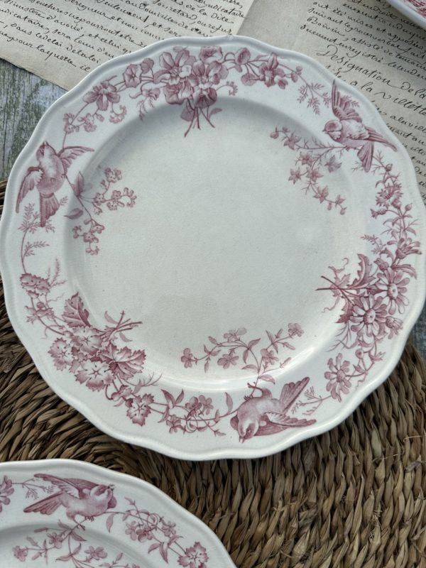 Deux assiettes plates 23,10cm – manufacture BWM & co Brown Westhead Moore modèle Indiana – 1868 – Image 3