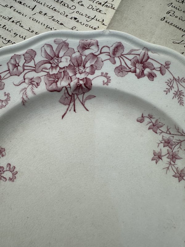 Deux assiettes plates 23,10cm – manufacture BWM & co Brown Westhead Moore modèle Indiana – 1868 – Image 4