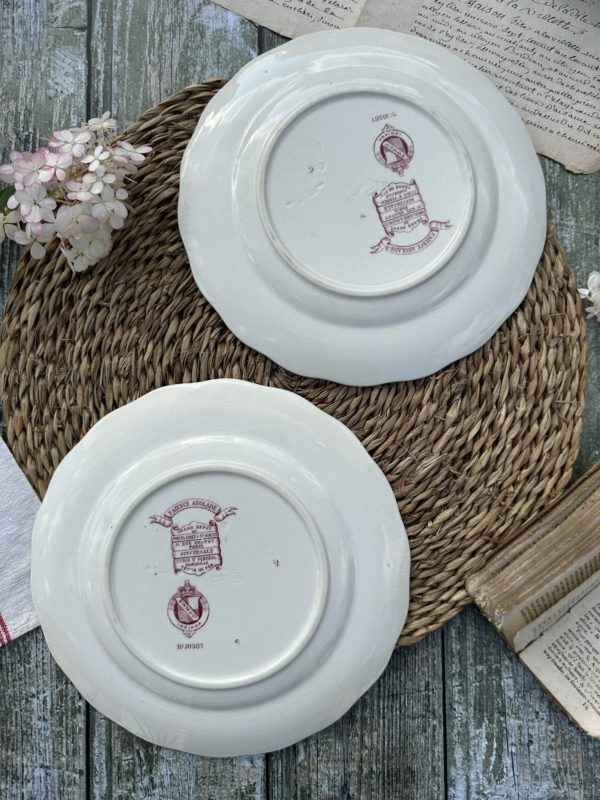 Deux assiettes plates 23,10cm – manufacture BWM & co Brown Westhead Moore modèle Indiana – 1868 – Image 5