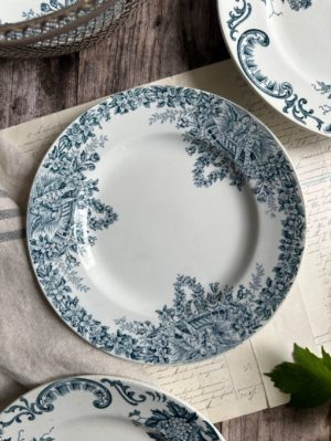 Suite de 5 assiettes plates St Amand modèle Colombier