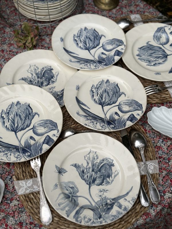 I. Suite de 6 assiettes plates Creil et Montereau modèle Tulipes – Image 2