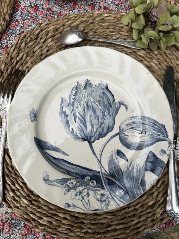 I. Suite de 6 assiettes plates Creil et Montereau modèle Tulipes – Image 7