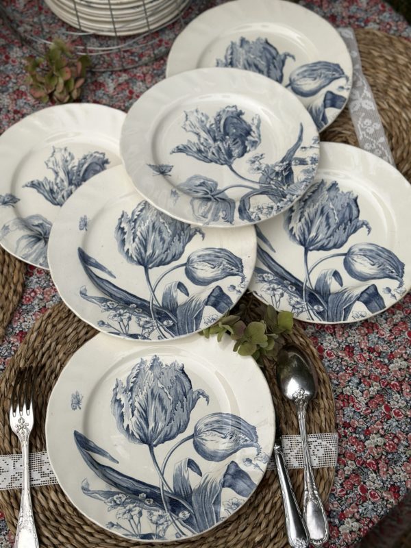 II. Suite de 6 assiettes plates Creil et Montereau modèle Tulipes  diamètre 24cm – Image 2