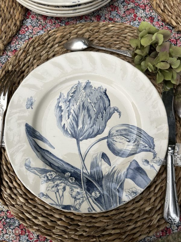II. Suite de 6 assiettes plates Creil et Montereau modèle Tulipes  diamètre 24cm – Image 3