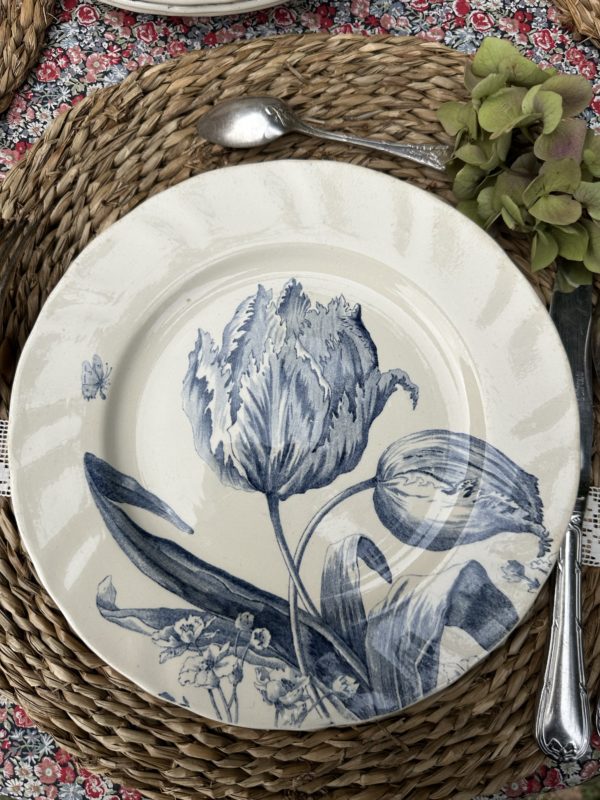 II. Suite de 6 assiettes plates Creil et Montereau modèle Tulipes  diamètre 24cm – Image 4