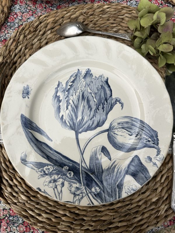 II. Suite de 6 assiettes plates Creil et Montereau modèle Tulipes  diamètre 24cm – Image 5
