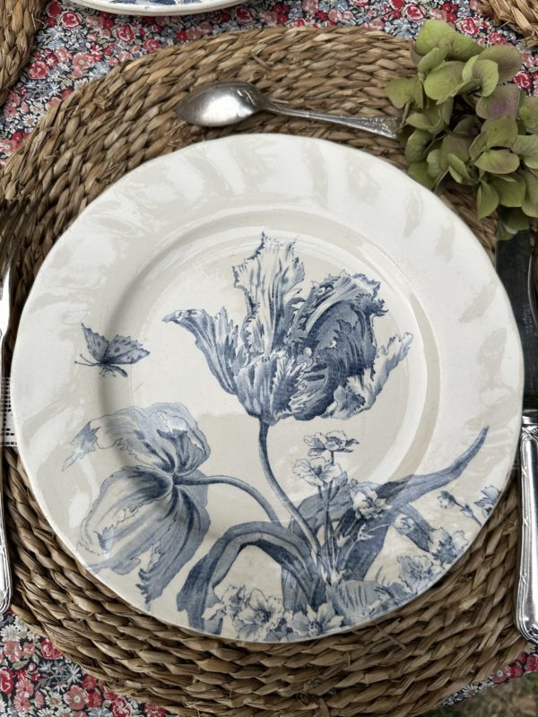 II. Suite de 6 assiettes plates Creil et Montereau modèle Tulipes  diamètre 24cm – Image 6