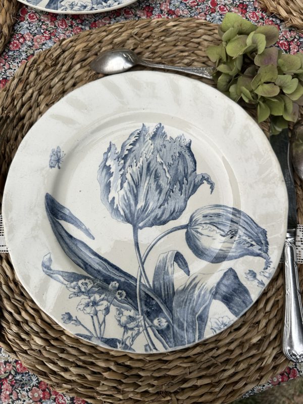 II. Suite de 6 assiettes plates Creil et Montereau modèle Tulipes  diamètre 24cm – Image 7