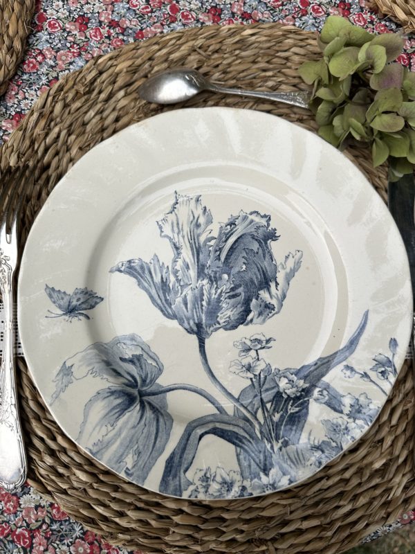 II. Suite de 6 assiettes plates Creil et Montereau modèle Tulipes  diamètre 24cm – Image 8