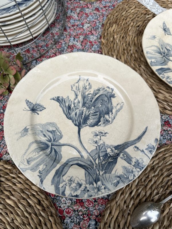 III. Suite de 6 assiettes plates Creil et Montereau modèle Tulipes – Image 3