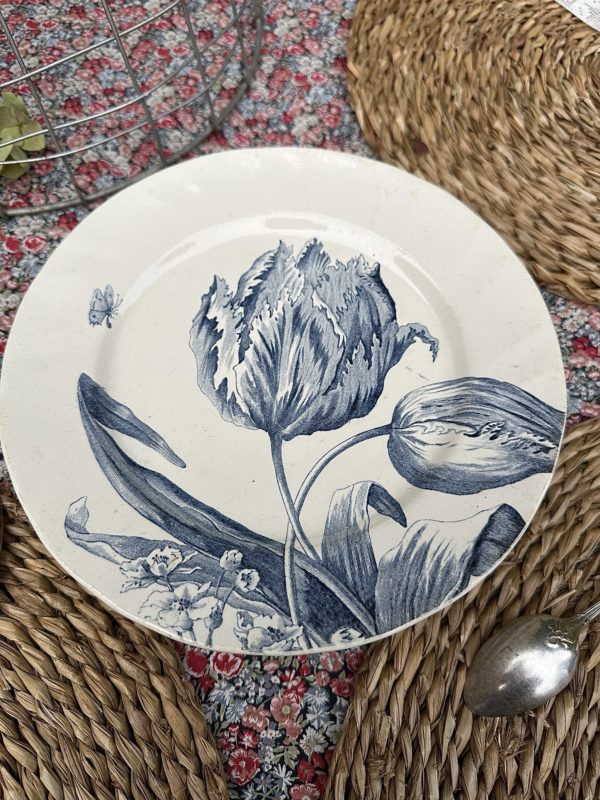 Suite de 6 assiettes à dessert Creil et Montereau modèle Tulipes – Image 8
