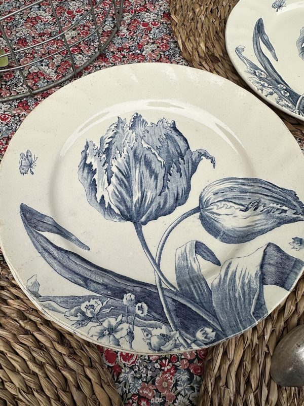 Suite de 6 assiettes à dessert Creil et Montereau modèle Tulipes – Image 7