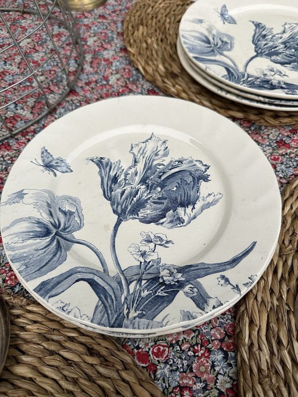 Suite de 6 assiettes à dessert Creil et Montereau modèle Tulipes – Image 5