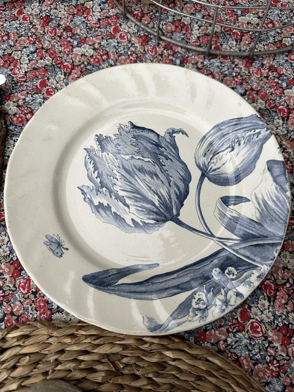 Suite de 6 assiettes à dessert Creil et Montereau modèle Tulipes – Image 3