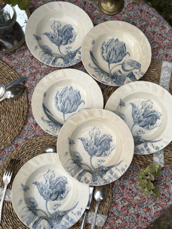 Suite de 6 assiettes creuses Creil et Montereau modèle Tulipes – Image 2