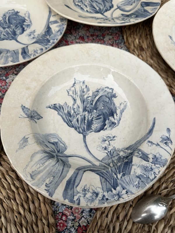 Suite de 6 assiettes creuses Creil et Montereau modèle Tulipes – Image 3