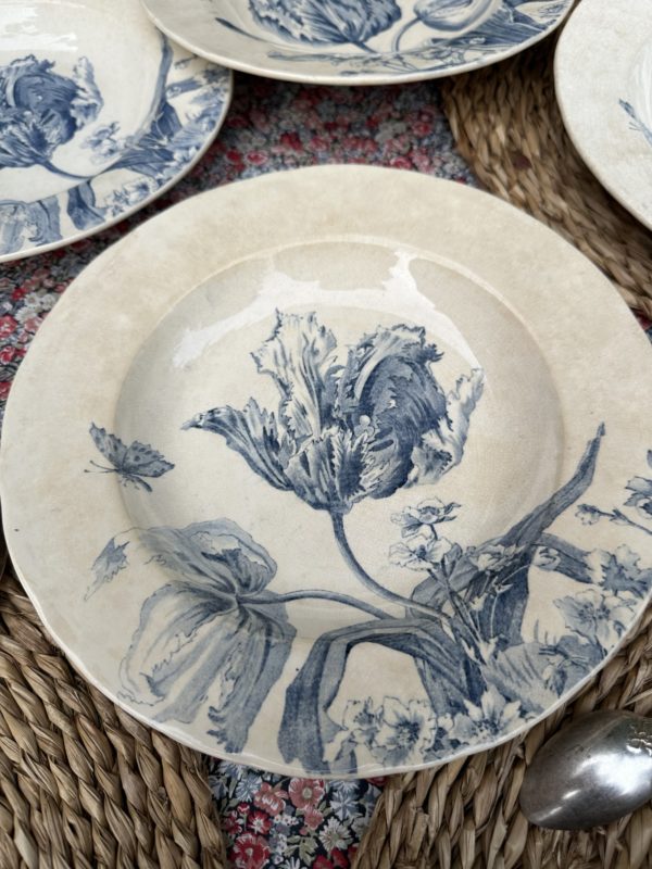 Suite de 6 assiettes creuses Creil et Montereau modèle Tulipes – Image 4