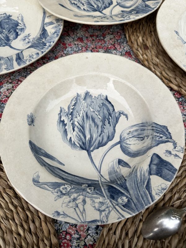 Suite de 6 assiettes creuses Creil et Montereau modèle Tulipes – Image 5