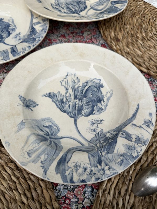 Suite de 6 assiettes creuses Creil et Montereau modèle Tulipes – Image 6