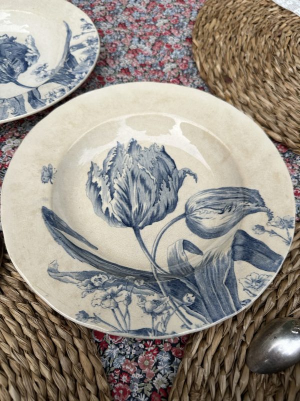 Suite de 6 assiettes creuses Creil et Montereau modèle Tulipes – Image 7