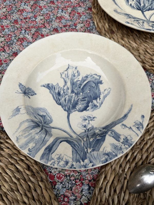 Suite de 6 assiettes creuses Creil et Montereau modèle Tulipes – Image 8