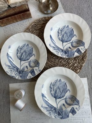 Suite de 3 assiettes creuses Creil et Montereau modèle Tulipes