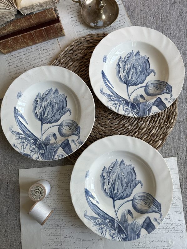 Suite de 3 assiettes creuses Creil et Montereau modèle Tulipes